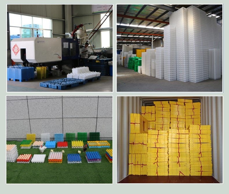 product-790-671